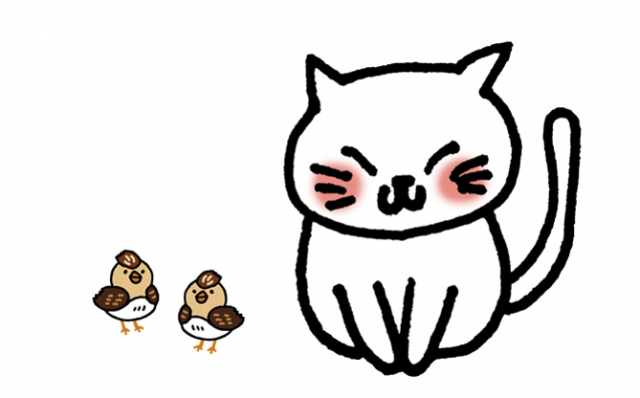 猫ちゃん